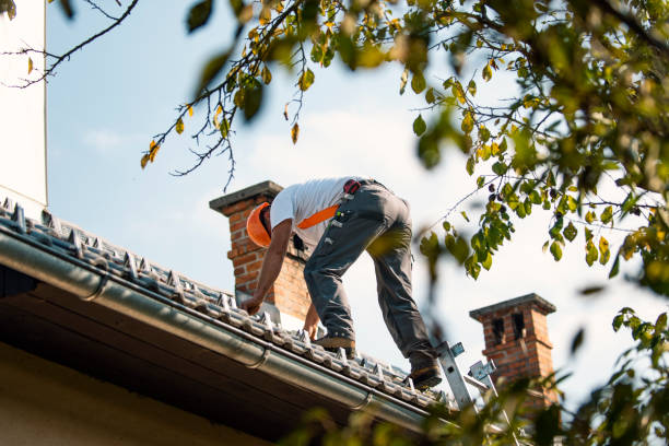 Roof Gutter Cleaning in Rustburg, VA