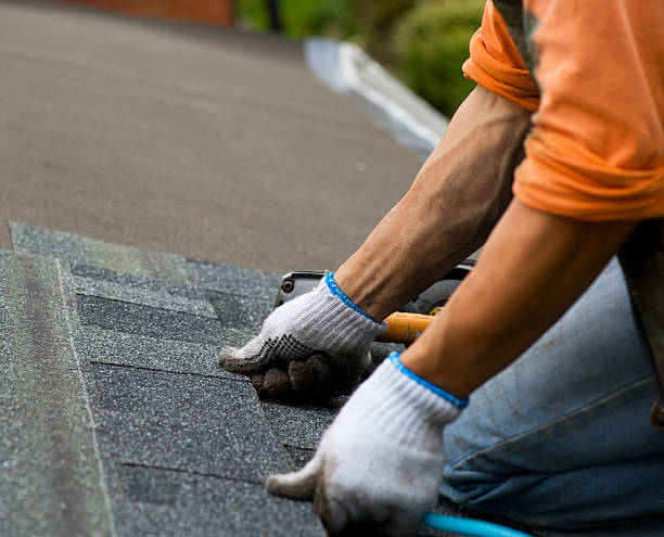 Best Local Roofing Companies  in Rustburg, VA