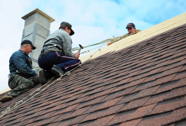 Best Gutter Installation and Roofing  in Rustburg, VA